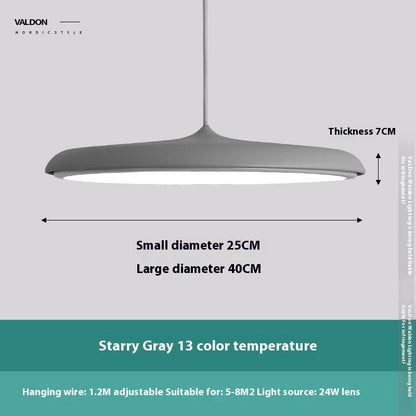 Nordic Modern Simple LED Chandelier Restaurant Chandelier Designer Chandelier