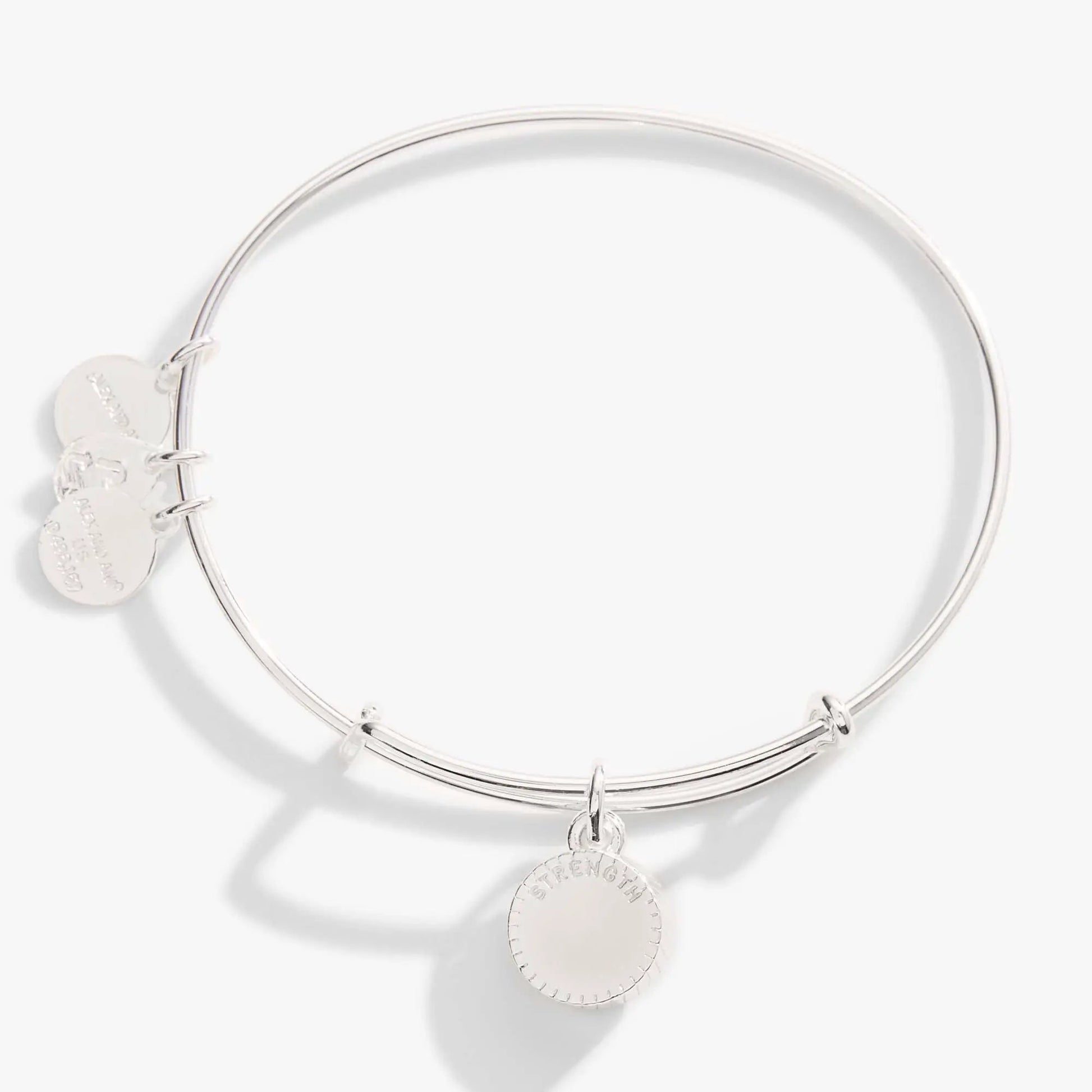 November Birthstone Charm Bangle Topaz bracelet by Alex and Ani with disk charms on Tampa Home & Garden Store