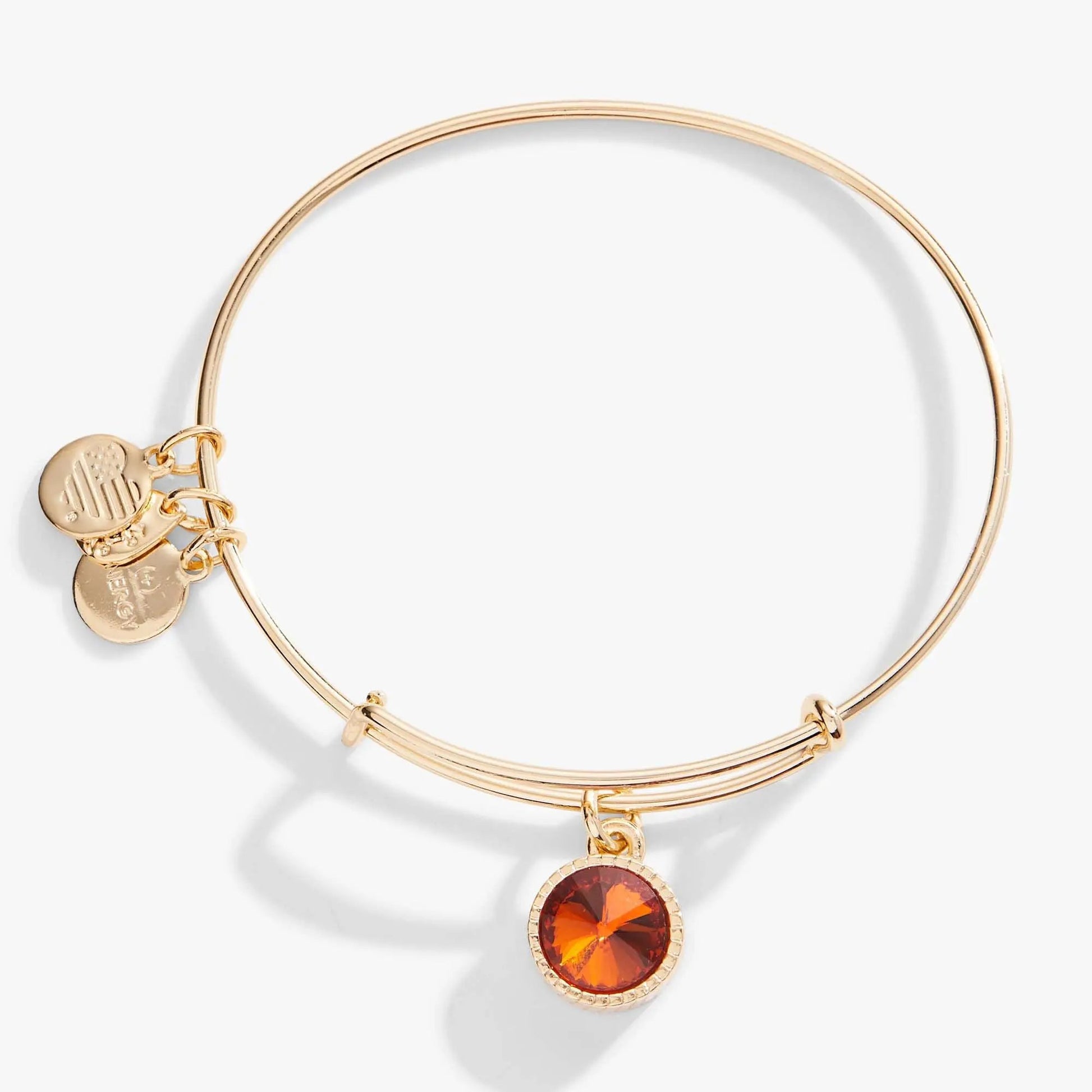 November Birthstone Topaz charm bangle with coin charms in rose gold by Alex and Ani on Tampa Home & Garden Store