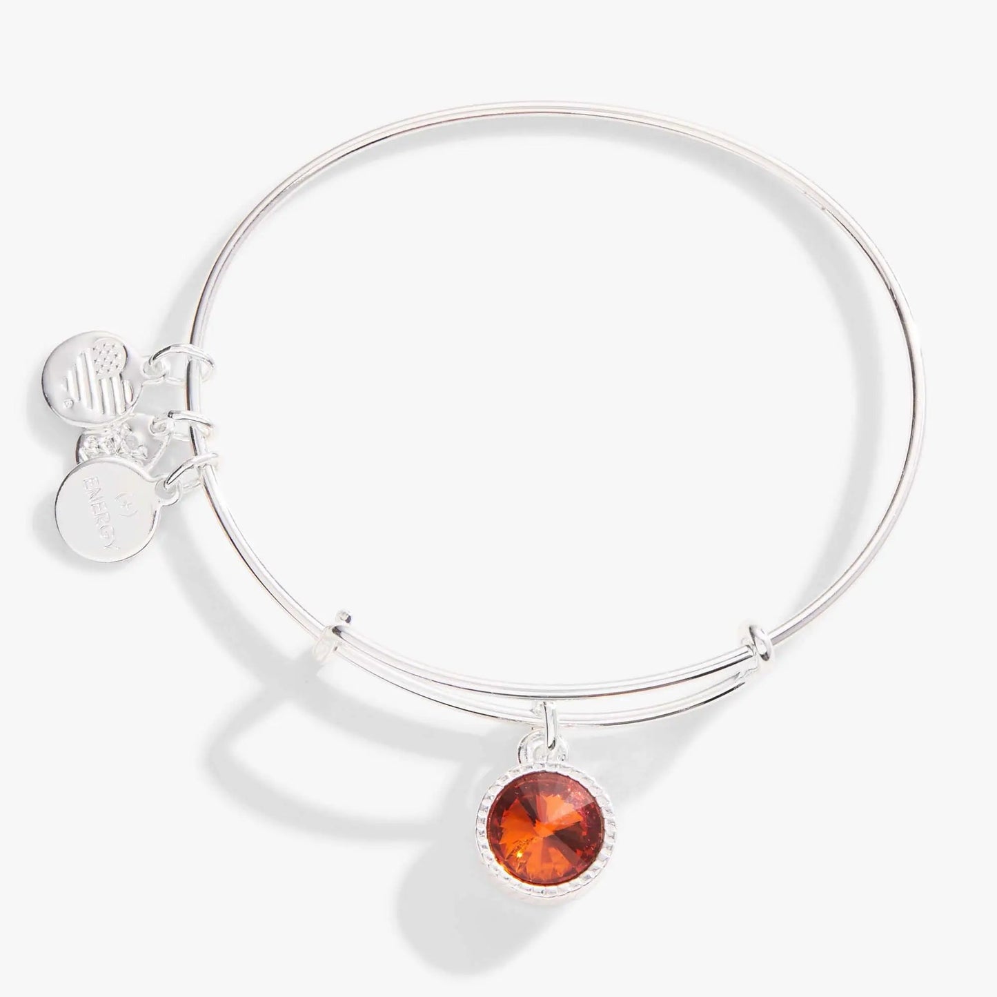 November Birthstone Topaz charm bangle bracelet by Alex and Ani with silver-tone finish on Tampa Home & Garden Store