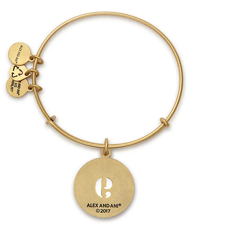 Nine Charm Bangle Bracelet Worldly Kind and Noble