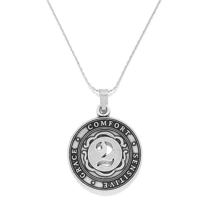 Alex and Ani Number 2 Necklace silver-tone pendant medallion Grace Comfort Sensitive on chain on Tampa Home & Garden Store