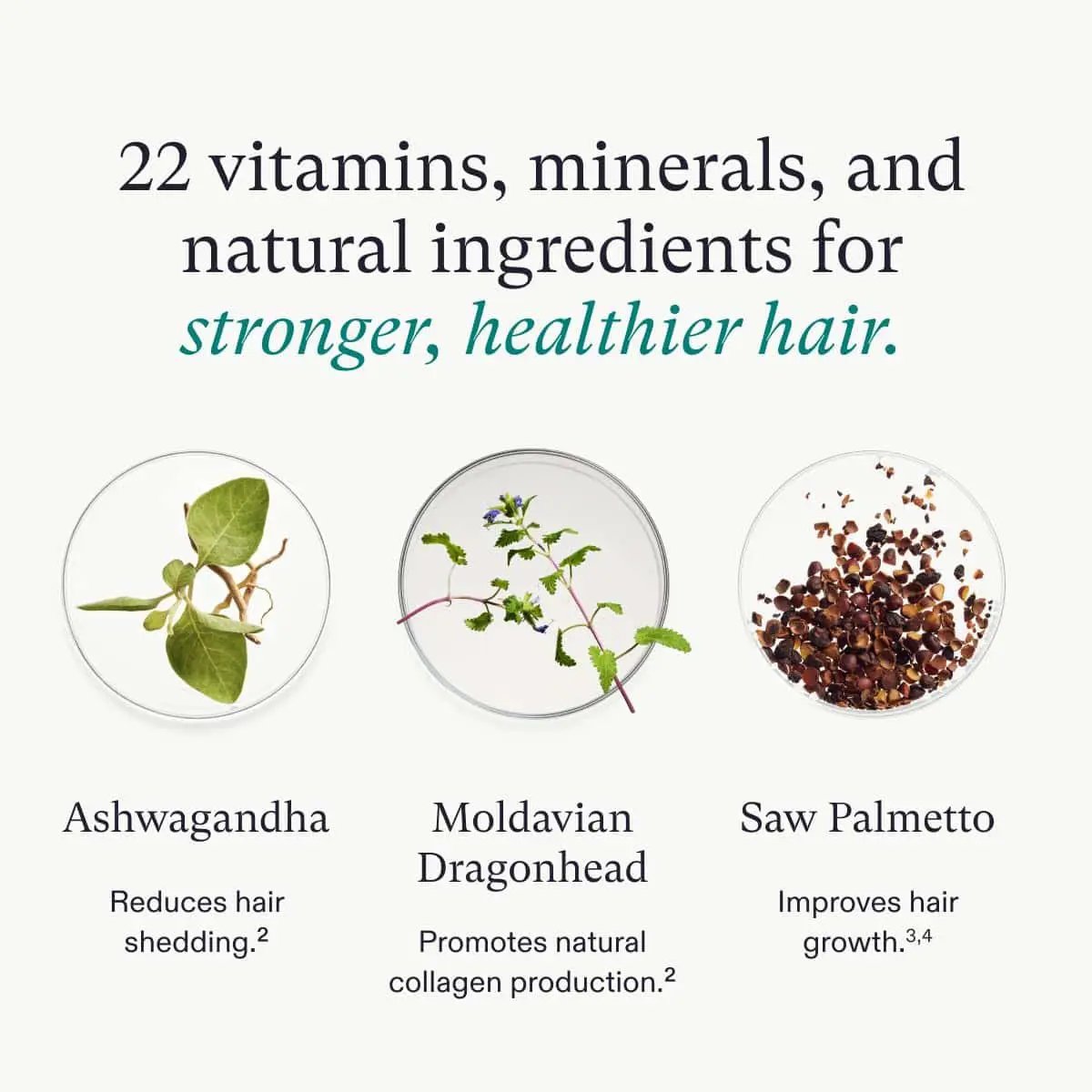 Nutrafol Women's Vegan Hair Growth by Nava Beauty with Ashwagandha Moldavian Dragonhead Saw Palmetto on Tampa Home & Garden Store