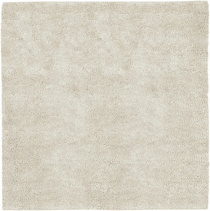 Oakridge Area Rug - Clearance beige plush shag by Boutique Rugs on Tampa Home & Garden Store