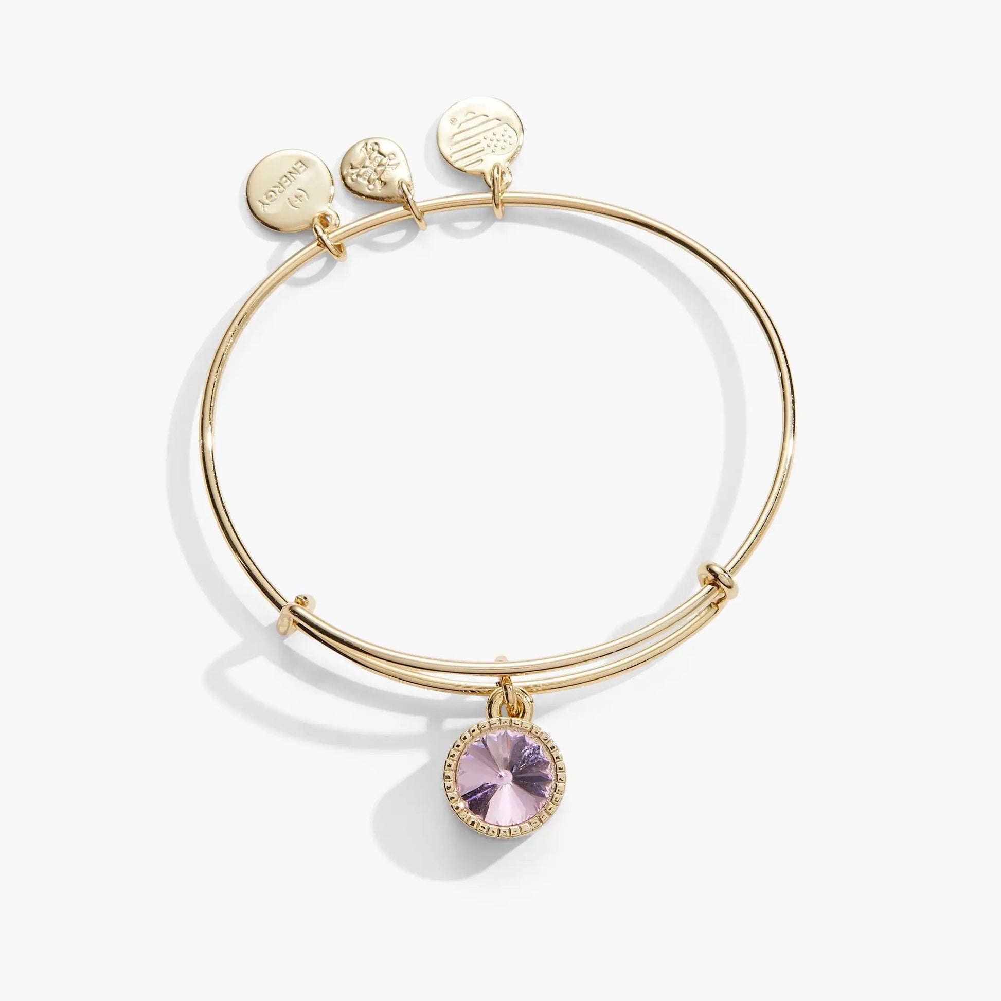 October Birthstone Charm Bangle Rose by ALEX AND ANI bracelet with 4 charms and purple pendant on Tampa Home & Garden Store