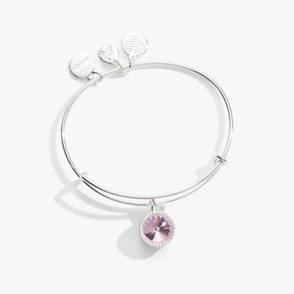 October Birthstone Charm Bangle ALEX AND ANI in silver with pink rose gemstone charm and charms on Tampa Home & Garden Store