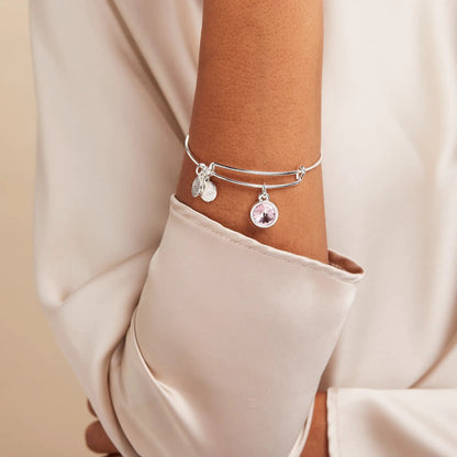 October Birthstone Bangle Rose with pink gemstone charm, silver by ALEX AND ANI on Tampa Home & Garden Store