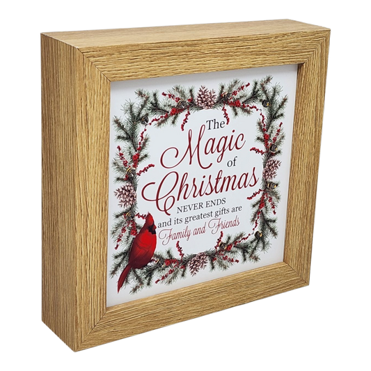 Bloc lumineux cardinal pour les fêtes - La magie de Noël ne s'arrête jamais
