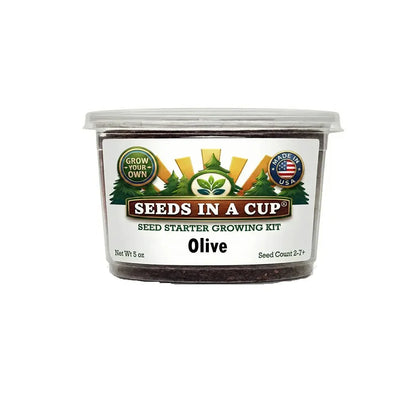 Olive Tree Grow Kit