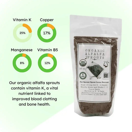 Kit de inicio de alfalfa Sprout Spout: Sprout Spout + 4 oz o 1 lb de semillas + Sprout Scoop gratis