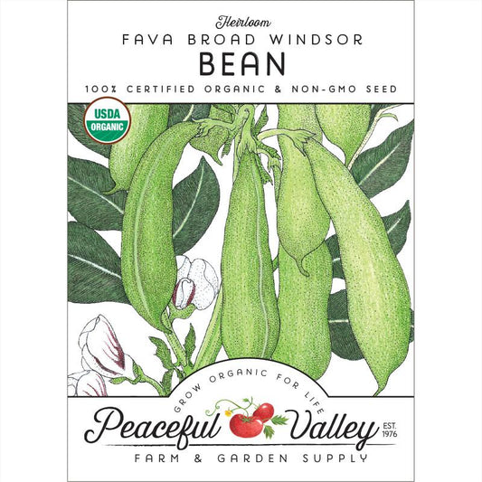 Broad Windsor Fava Bean Seeds (Organic)