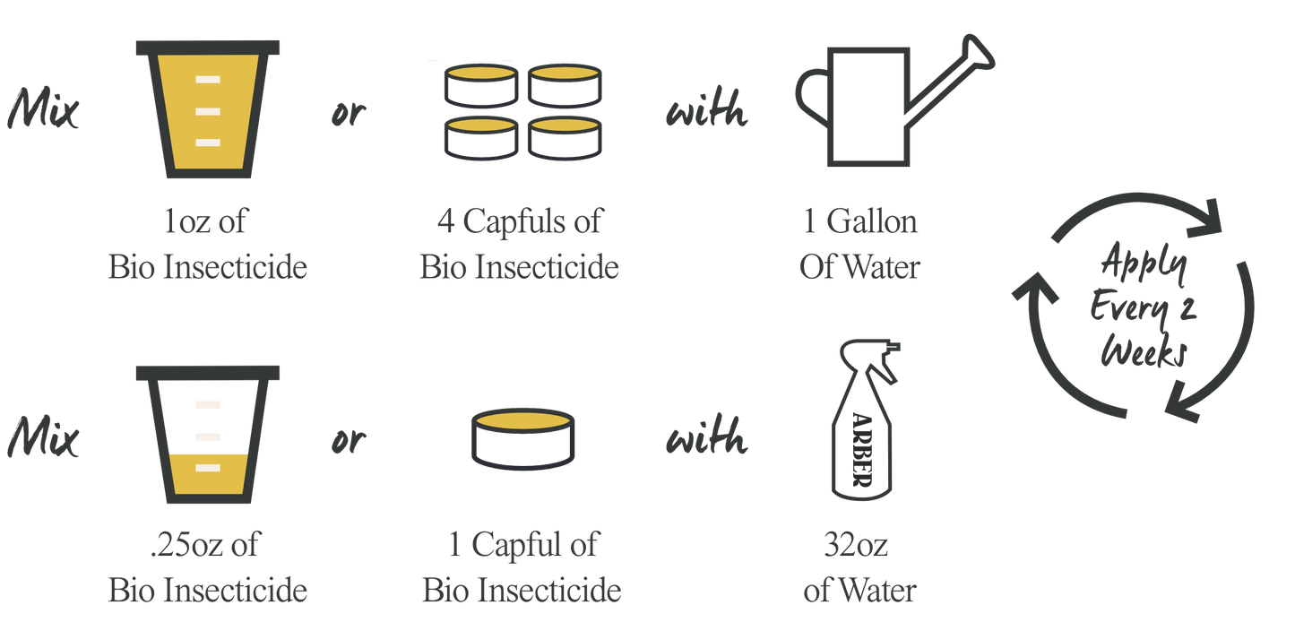 Organic Bio Insecticide | Natural Pest Control for Plants | House Plant Shop