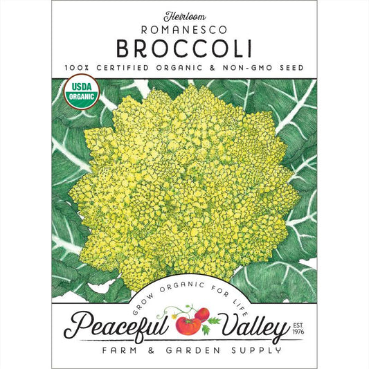 Graines de brocoli Romanesco (biologiques)