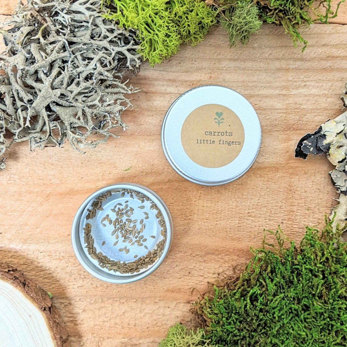 Graines de carottes biologiques « Little Fingers »