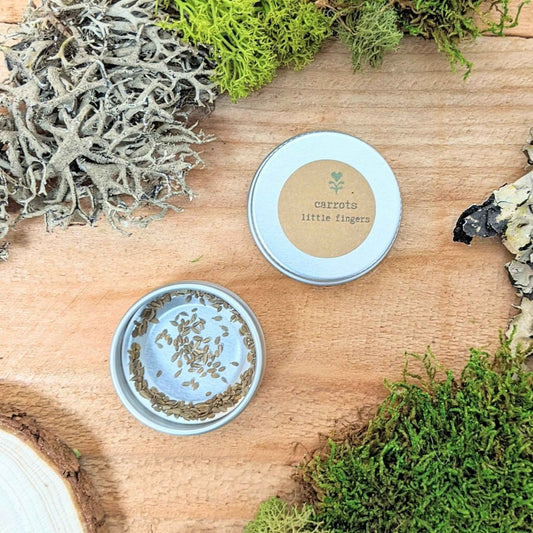 Graines de carottes biologiques « Little Fingers »