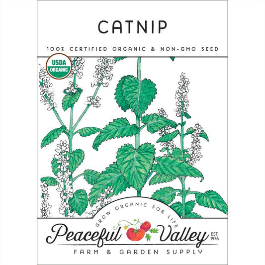 Catnip Seeds (Organic)