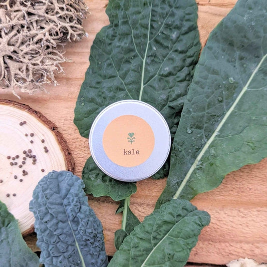 Semillas de kale ecológicas