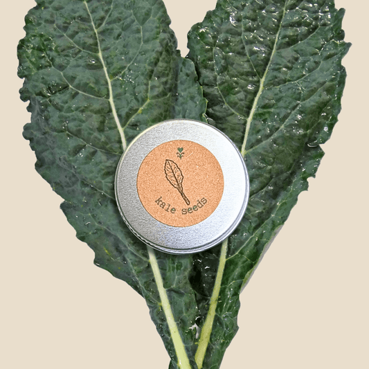 Semillas de kale ecológicas
