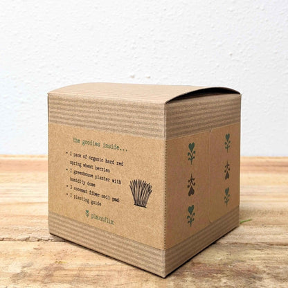 Organic Petgrass Grow Kit