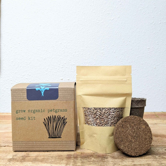 Kit de Cultivo de Hierba Gatera Ecológica