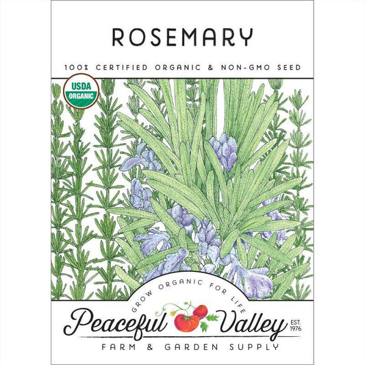 Rosemary Seeds (Organic)