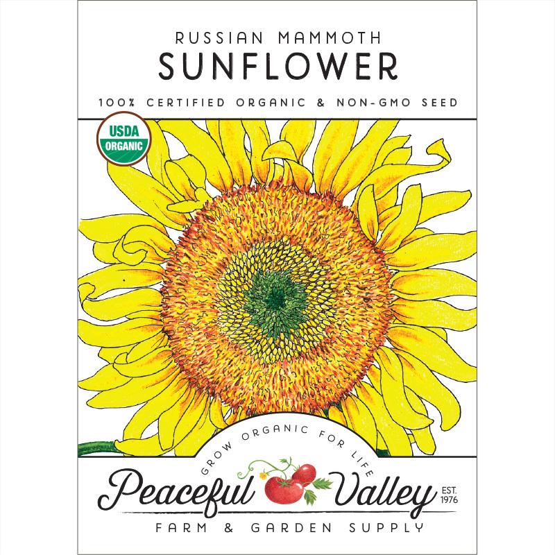 Russian Mammoth Sunflower seeds seed packet Seedtime Store, USDA Organic, bright yellow flower on Tampa Home & Garden Store