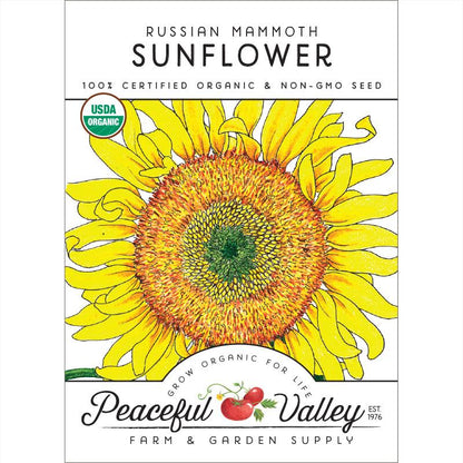 Russian Mammoth Sunflower seeds seed packet Seedtime Store, USDA Organic, bright yellow flower on Tampa Home & Garden Store