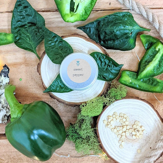 Semillas ecológicas de pimiento dulce