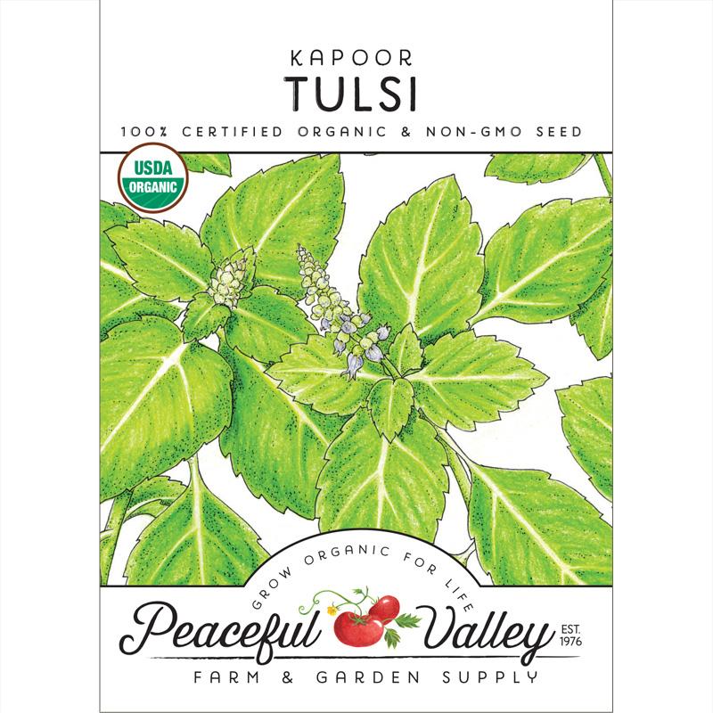 Semillas de tulsi kapoor (orgánicas)