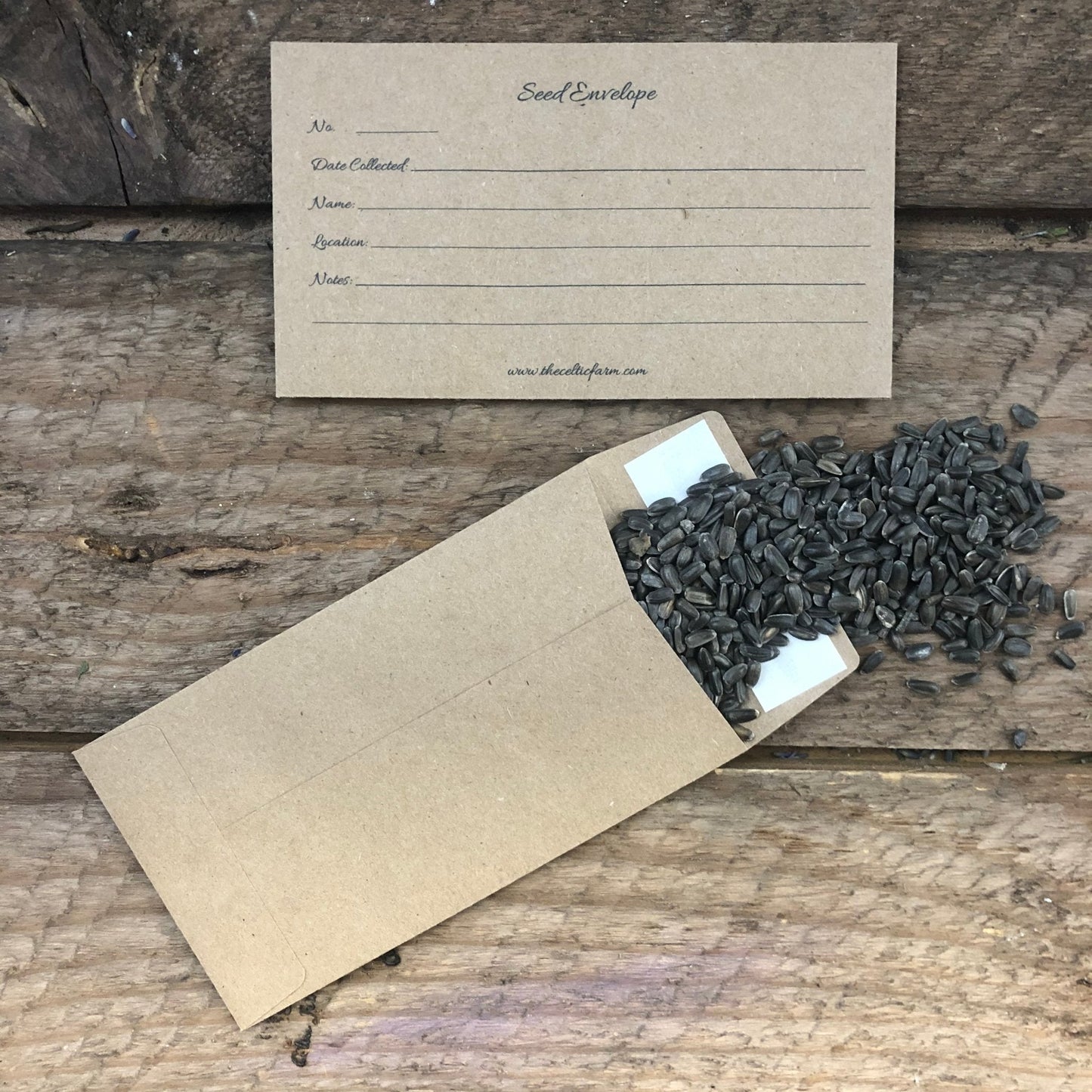 Our Seed Envelopes/Packets (Seed Collection) - Tampa soil911.com