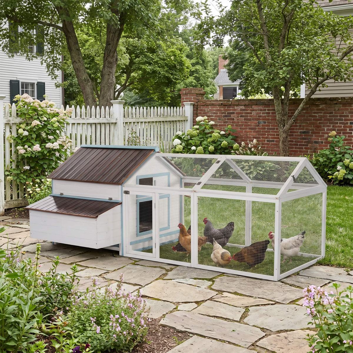96-Inch fir wood chicken coop with nesting box and run, with blue trim, chickens in enclosure on Tampa Home & Garden Store