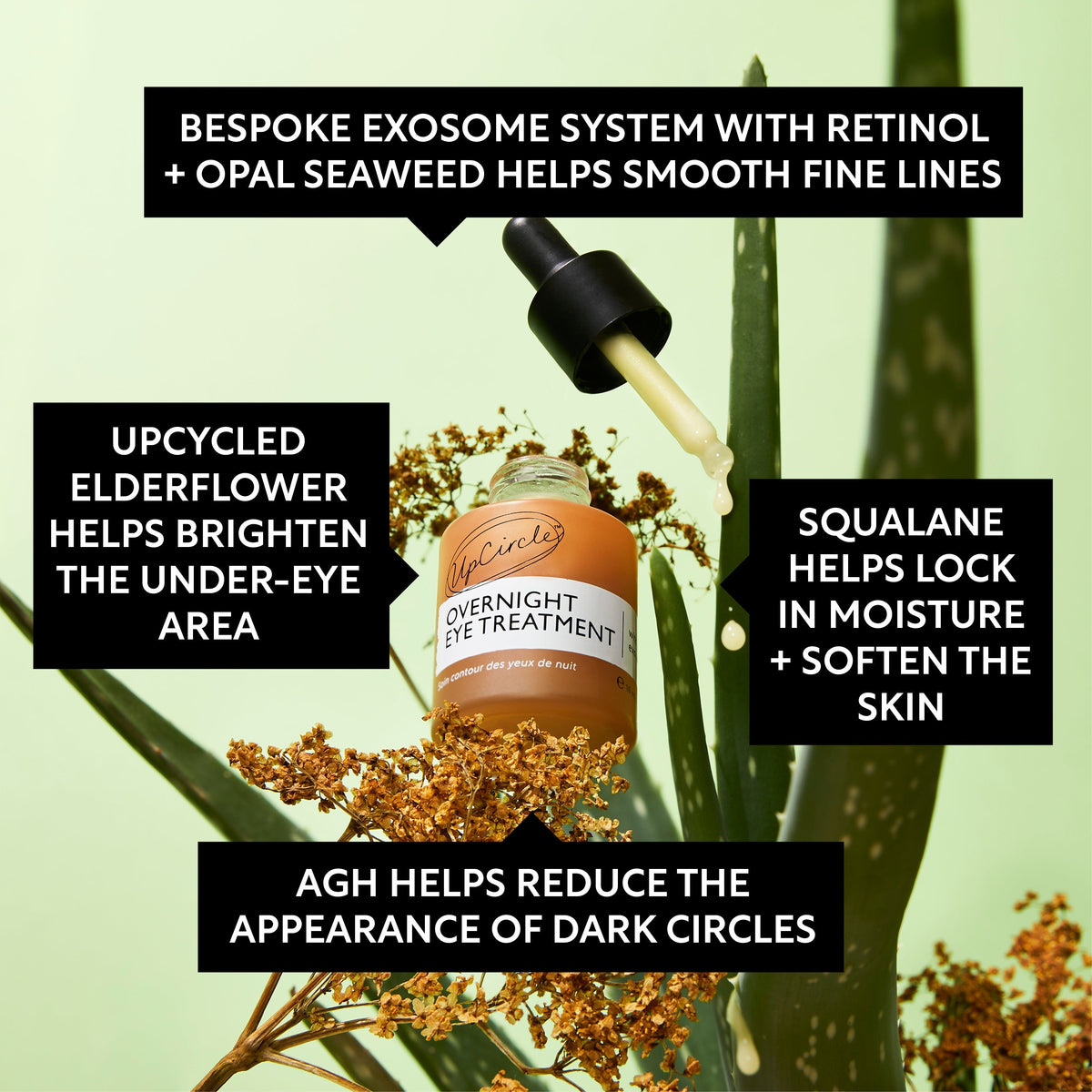 UpCircle Day + Night Eye Care Bundle skincare set featuring Overnight Eye Treatment bottle on Tampa Home & Garden Store