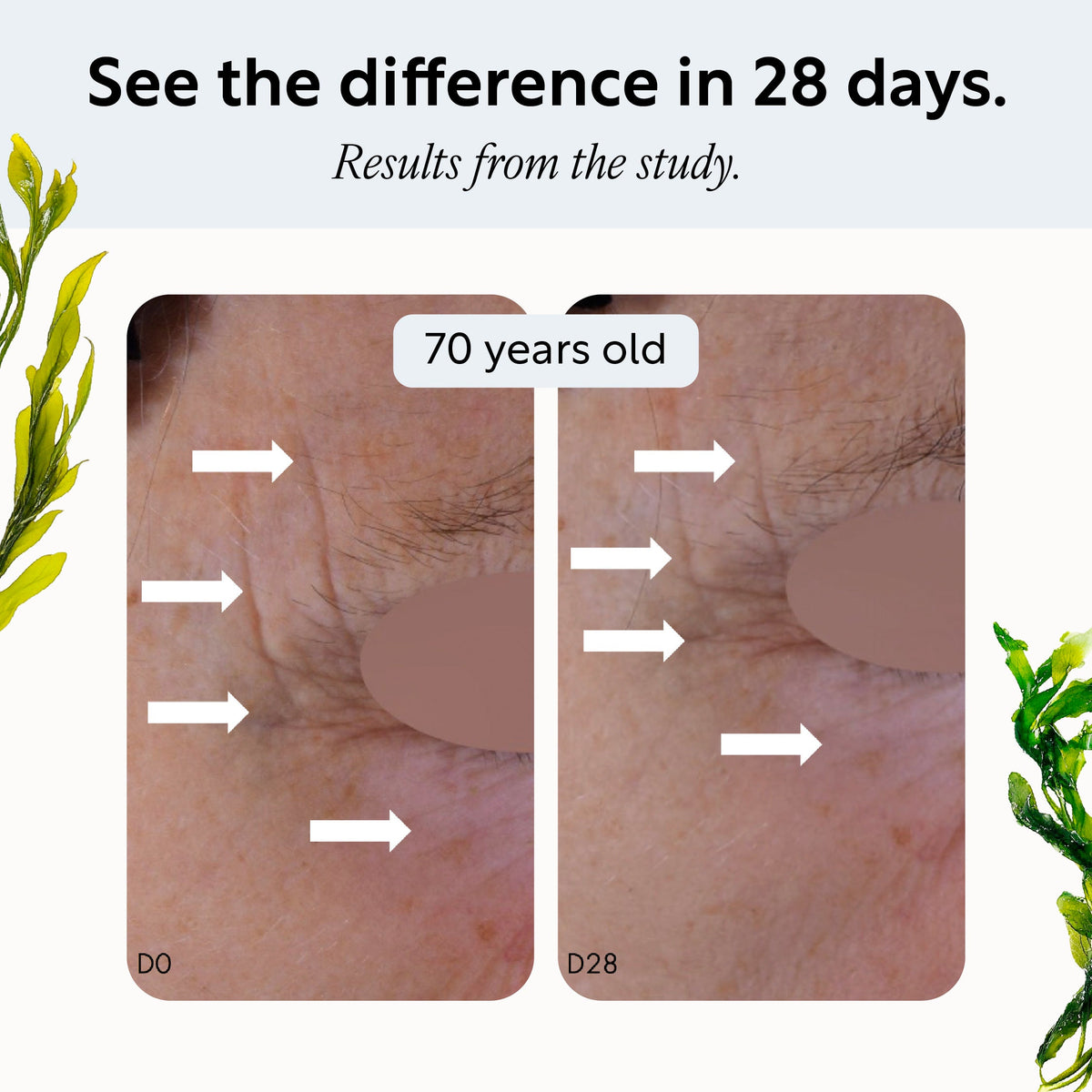 Overnight Eye Treatment by UpCircle with Retinol Exosomes; D0 vs D28 two-panel arrows on Tampa Home & Garden Store