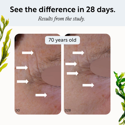 Overnight Eye Treatment by UpCircle with Retinol Exosomes; D0 vs D28 two-panel arrows on Tampa Home & Garden Store