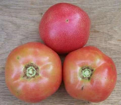 Tomato Ozark Pink VF, 3 ripe pink tomatoes from Seedtime Store on Tampa Home & Garden Store