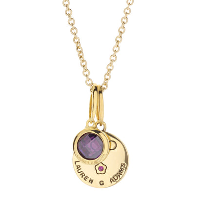 Birthstone Necklace Lauren G Adams, gold-tone disc pendant with purple Feb gemstone on chain on Tampa Home & Garden Store