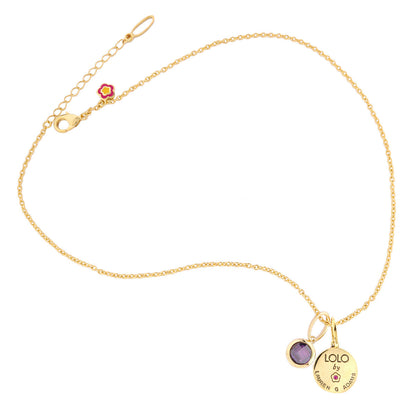 February Birthstone Color Necklace in gold tone with purple gem charm by Lauren G Adams on Tampa Home & Garden Store