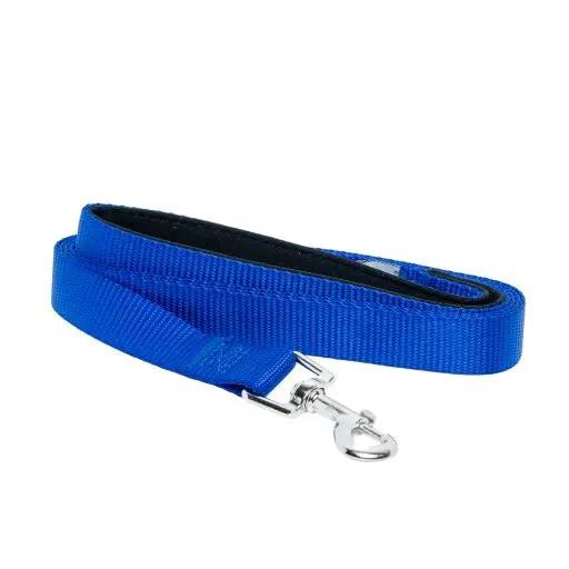 Blue padded-grip dog leash, nylon with metal clasp by American Pet Supplies on Tampa Home & Garden Store