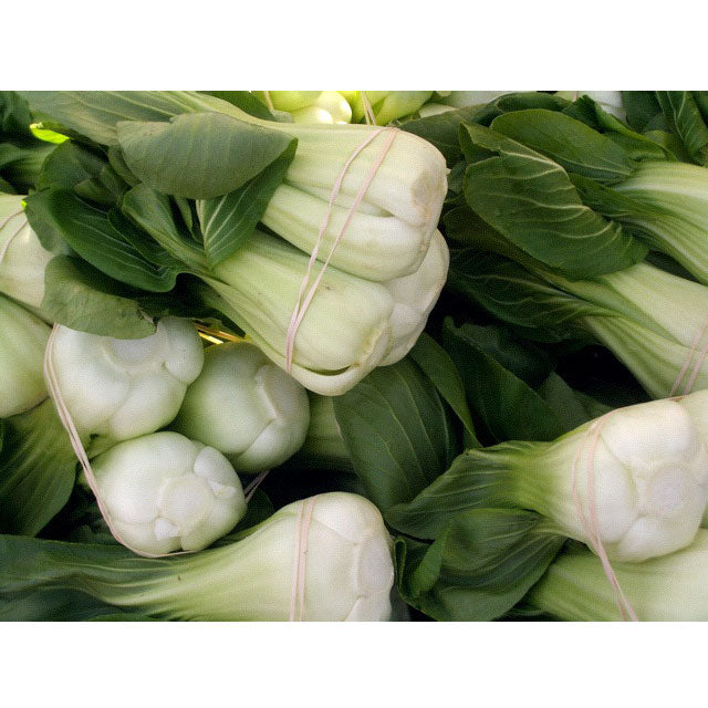 Graines de Pak Choi Baby Shanghai Greens (biologiques)