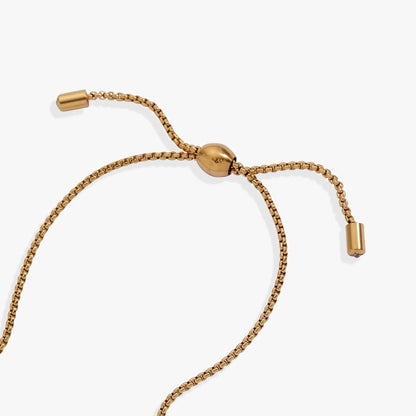 February Everyday Birthstone Bolo Bracelet by ALEX AND ANI, gold-tone chain with sliding bead on Tampa Home & Garden Store
