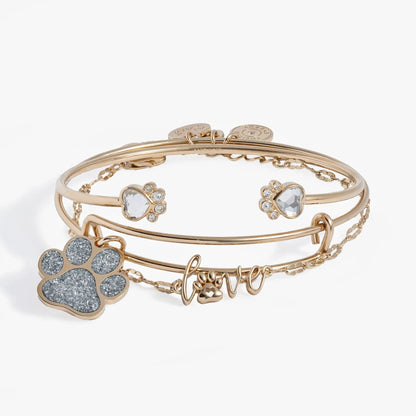 Paws of Love bracelet set of 3 by ALEX AND ANI, gold-tone bangles with crystal paw charms on Tampa Home & Garden Store