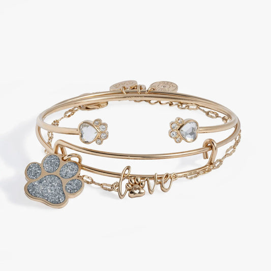 Paws of Love bracelet set of 3 by ALEX AND ANI, gold-tone bangles with crystal paw charms on Tampa Home & Garden Store