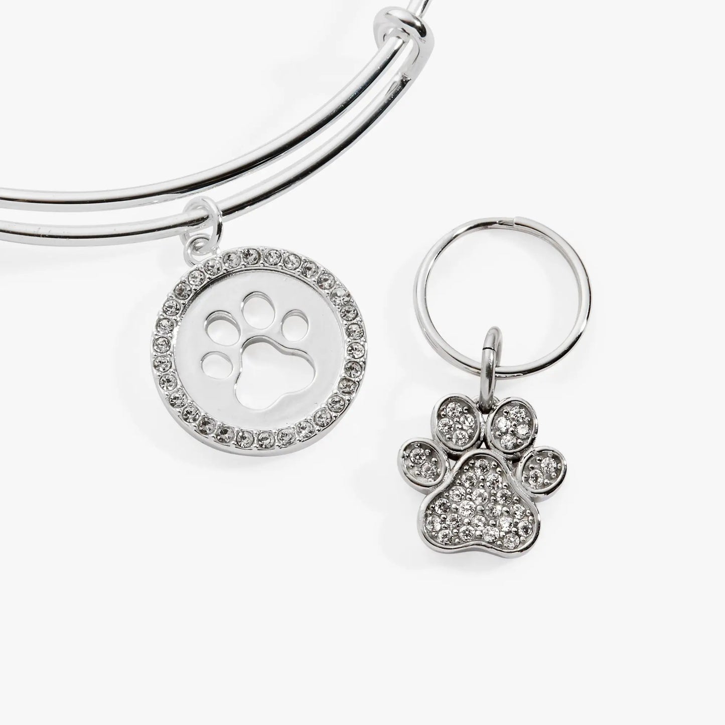 Paw Print Bangle and Pet Collar Charm Set