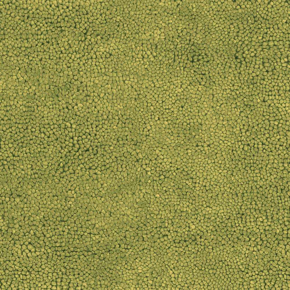 Frederika solid olive green wool shag rug close-up by Boutique Rugs clearance on Tampa Home & Garden Store