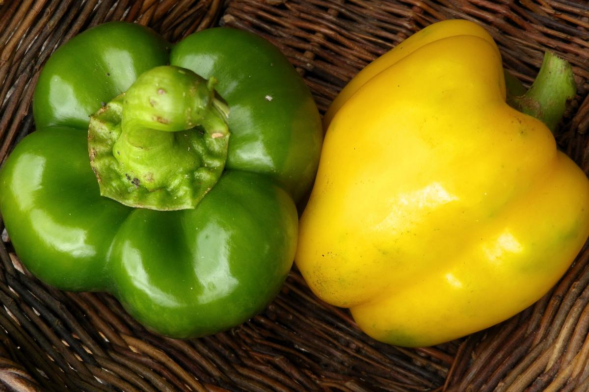 Golden Calwonder sweet bell pepper green and yellow peppers in a woven basket on Tampa Home & Garden Store
