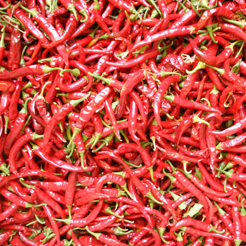 Graines de piment fort Cayenne Slim (biologique)