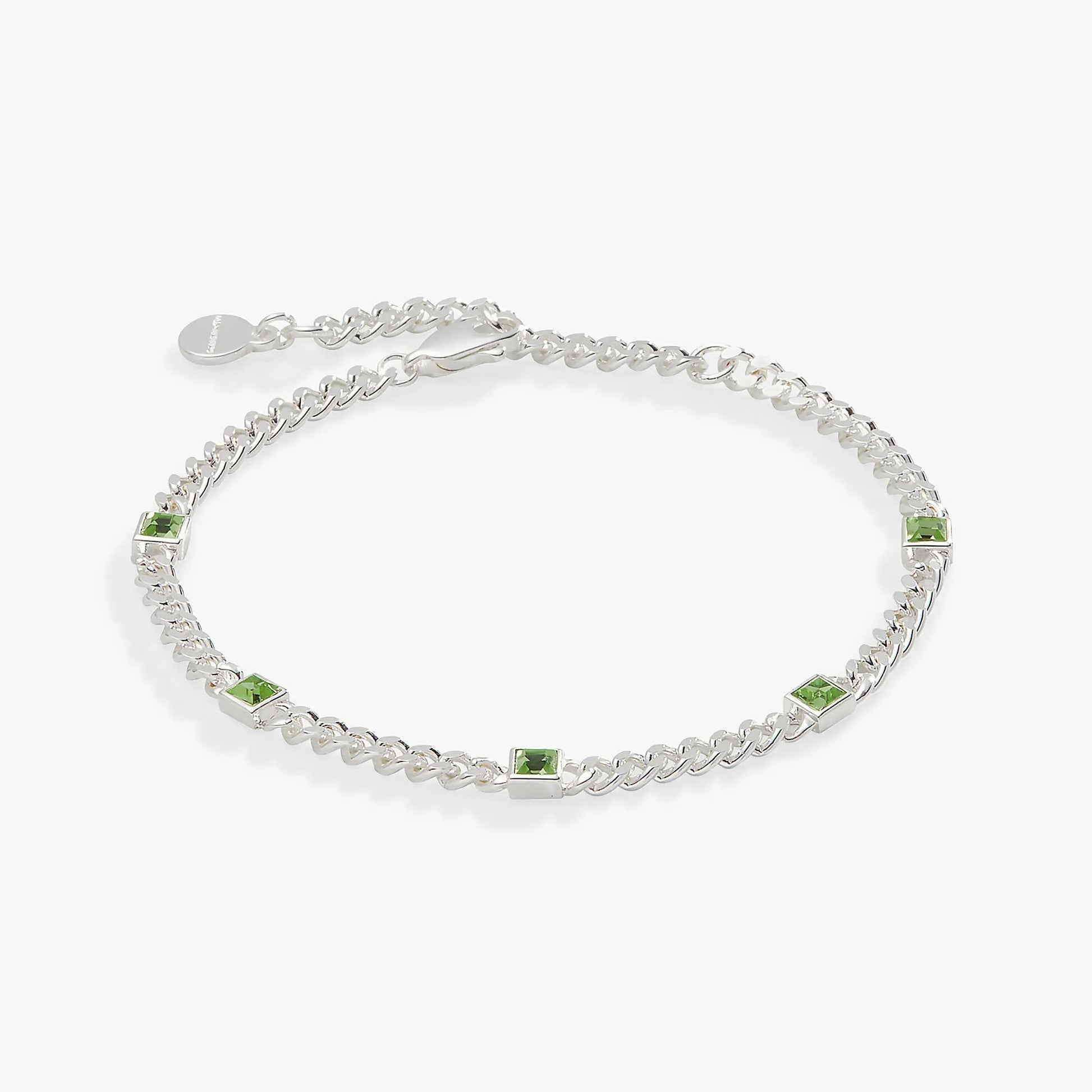 August Birthstone Peridot Curb Chain Bracelet by ALEX AND ANI; silver-tone chain with peridot on Tampa Home & Garden Store