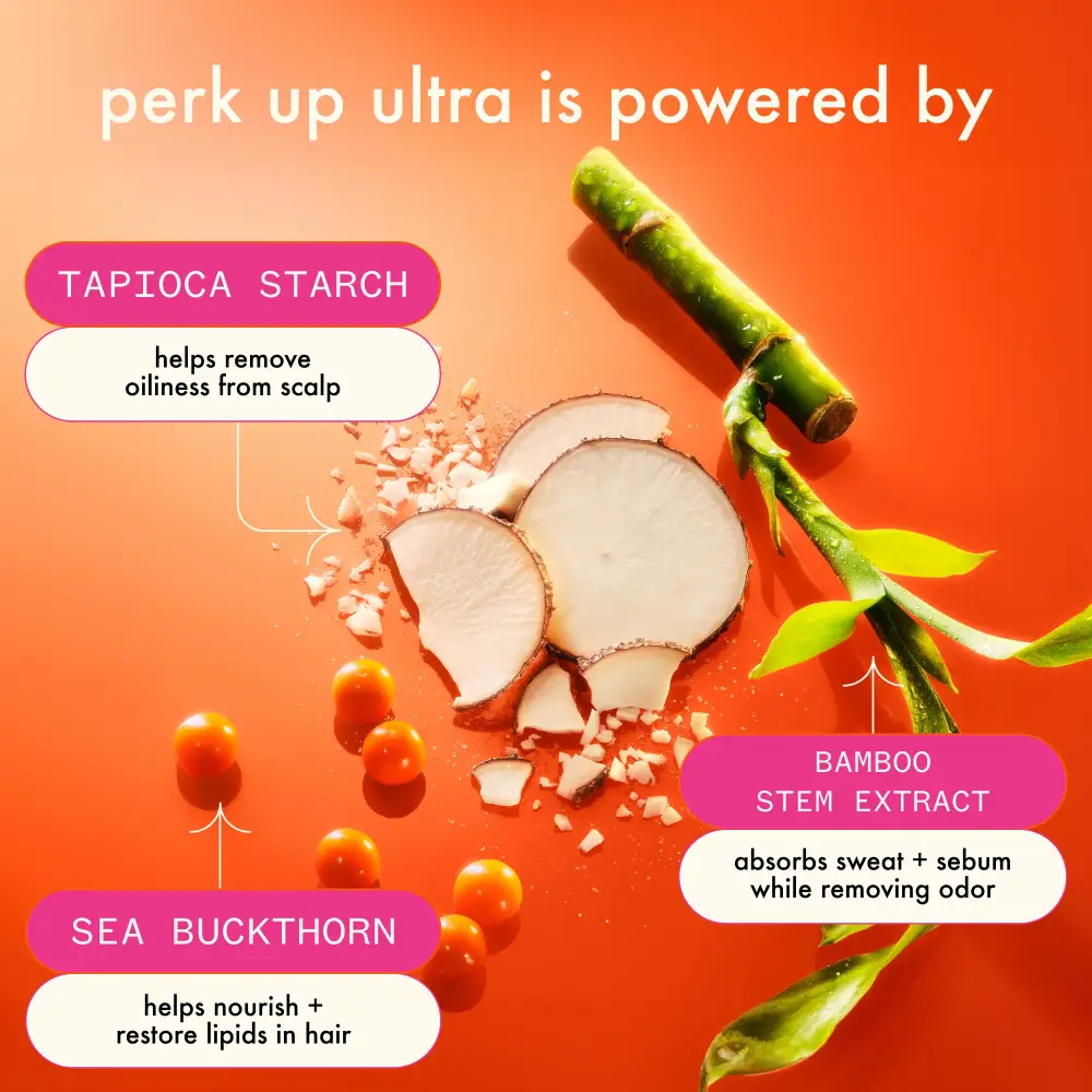 Dry shampoo Amika Perk Up Ultra Oil Control by Nava Beauty with tapioca starch orange background on Tampa Home & Garden Store