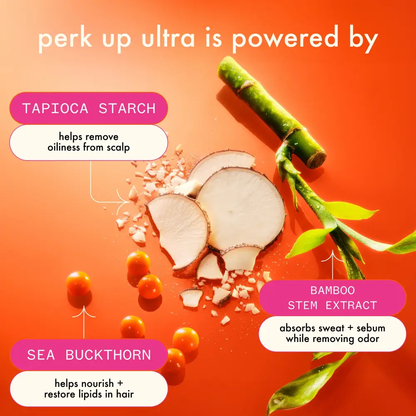 Dry shampoo Amika Perk Up Ultra Oil Control by Nava Beauty with tapioca starch orange background on Tampa Home & Garden Store