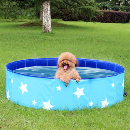 Foldable blue star-pattern pet bath tub pool for dogs with a fluffy dog inside on Tampa Home & Garden Store